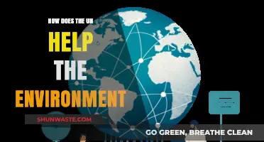 UN's Environmental Impact: Global Efforts for a Sustainable Future