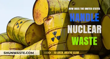 U.S. Nuclear Waste Management: Challenges, Solutions, and Future Strategies