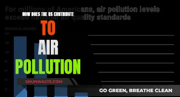 US Air Pollution: A Global Concern