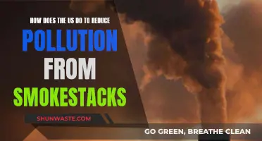 US Strategies to Minimize Smokestack Pollution