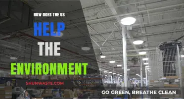 US Environmental Initiatives: Policies, Innovations, and Global Impact Explained