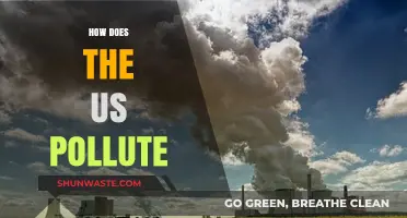 US Pollution: The Dirty Truth