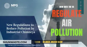 Air Pollution Control: US Strategies and Regulations