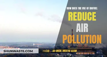 Biofuels: Clean Energy, Reduced Air Pollution