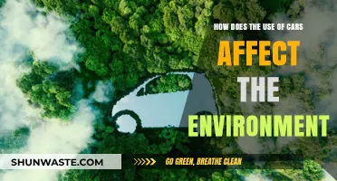 Driving's Impact: How Cars Shape Our Environment and Climate