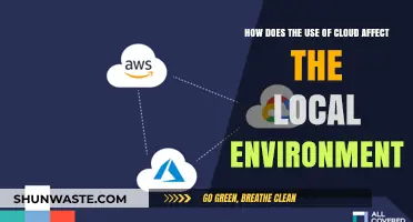 Cloud Computing's Environmental Impact: Local Effects and Sustainability Challenges