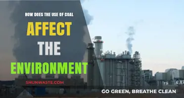 Coal's Environmental Impact: Pollution, Climate Change, and Ecosystem Destruction