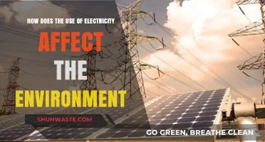 Electricity's Environmental Impact: Powering Progress or Planet's Peril?