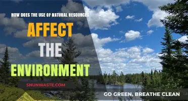 Natural Resources Impact: Environmental Consequences and Sustainable Solutions