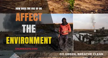 Oil's Environmental Impact: Pollution, Climate Change, and Ecosystem Destruction