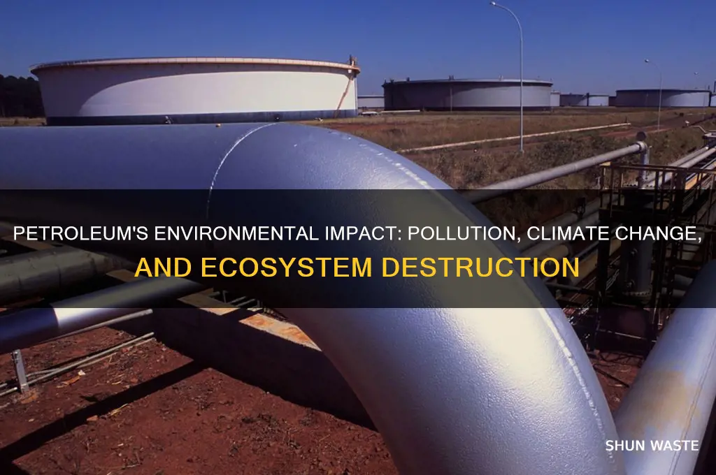 how does the use of petroleum affect our environment