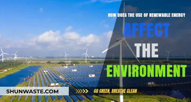 Renewable Energy's Impact: Environmental Benefits and Sustainable Future Explored