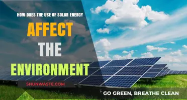 Solar Energy's Environmental Impact: Benefits, Challenges, and Sustainable Solutions