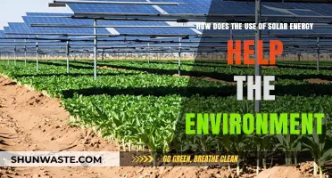 Solar Energy's Environmental Impact: Clean Power for a Greener Future