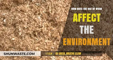 Wood's Environmental Impact: Sustainability, Deforestation, and Climate Change