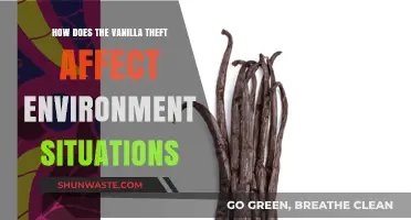 Vanilla Theft's Impact on Biodiversity and Environmental Sustainability Explored