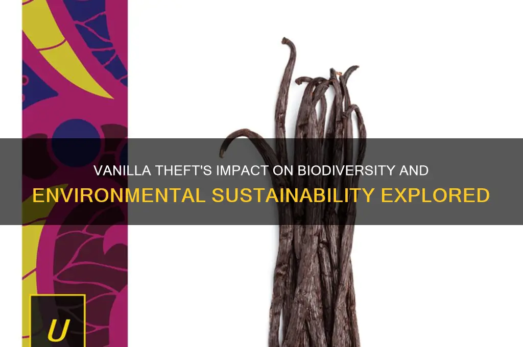 how does the vanilla theft affect environment situations