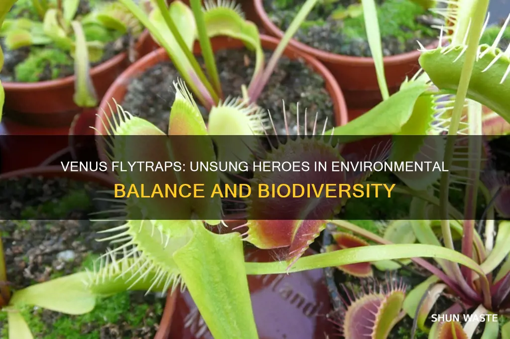 how does the venus flytrap help the environment