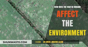 Ukraine War's Devastating Environmental Impact: Pollution, Wildlife, and Climate Crisis