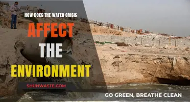 Water Crisis Impact: Environmental Consequences and Ecosystem Threats Explained