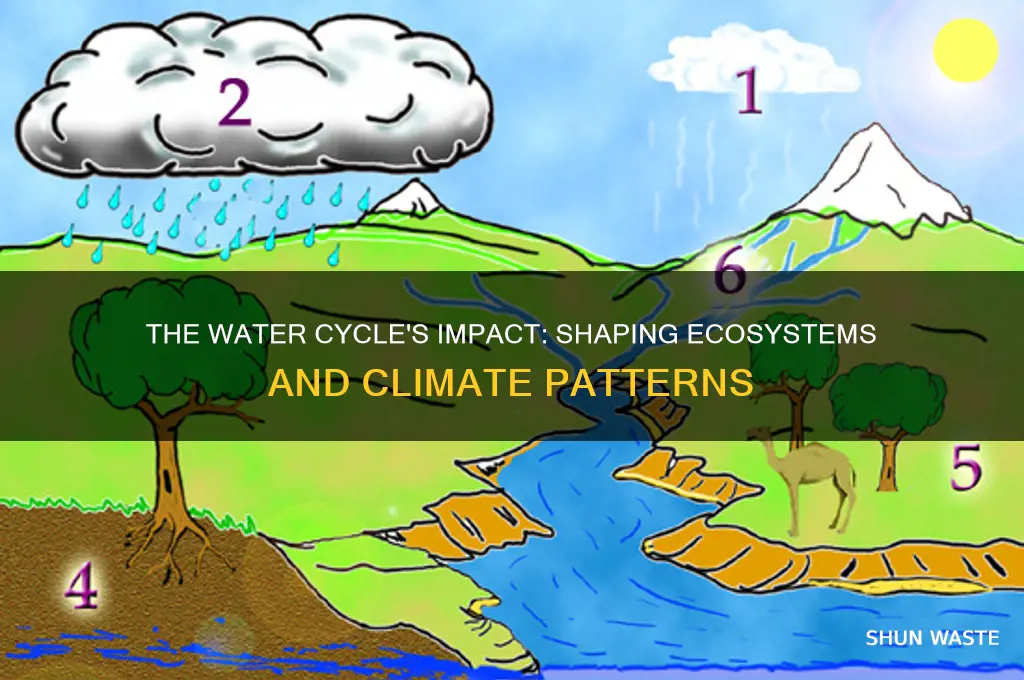 how does the water cycle affect our environment