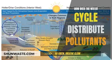 The Water Cycle's Polluted Path: A Journey of Contamination