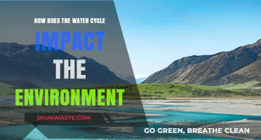 The Water Cycle's Vital Role in Shaping Our Environment