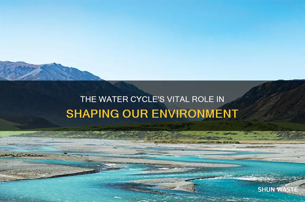 how does the water cycle impact the environment