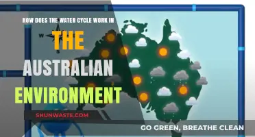 Australia's Unique Water Cycle: Processes, Challenges, and Environmental Impact