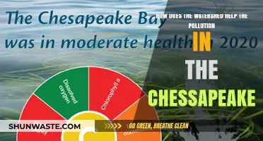 Watersheds: Cleaning Chesapeake's Pollution Problem