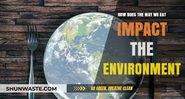 Sustainable Eating: How Our Food Choices Shape the Planet's Future