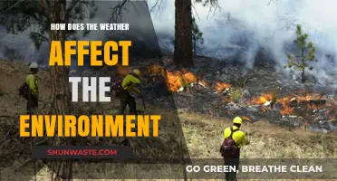 Weather's Impact: Shaping Ecosystems, Climate, and Environmental Balance Explained