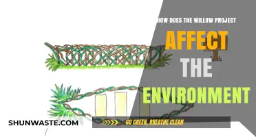 Willow Project's Environmental Impact: A Comprehensive Analysis and Assessment