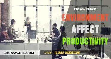 Boosting Productivity: The Impact of Work Environment on Employee Output