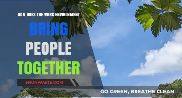 Fostering Unity: How Work Environments Build Collaborative Communities