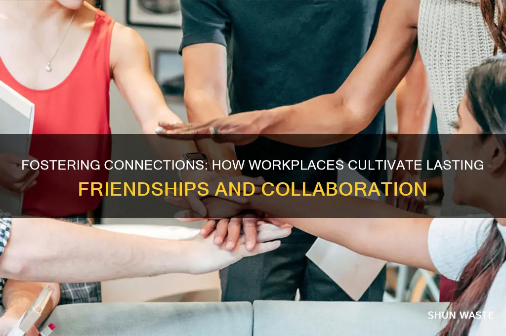 how does the working environment contribute to friendships
