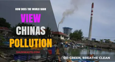 World Bank's Take on China's Pollution Problem