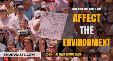 World Cup's Environmental Impact: Sustainability Challenges and Opportunities Explored
