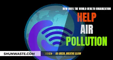 WHO's Global Air Quality Efforts: A Healthier Future