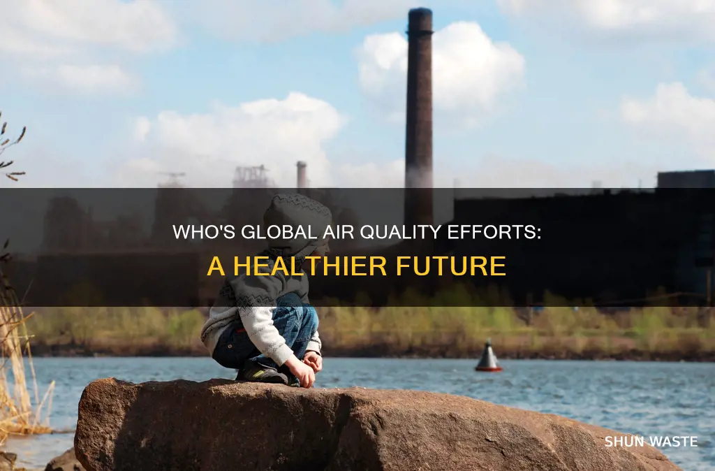 how does the world health organization help air pollution