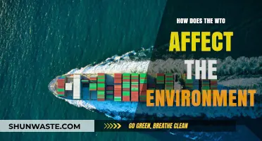 WTO's Environmental Impact: Trade Policies and Global Sustainability Explored