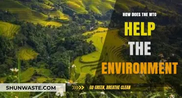 WTO's Role in Promoting Sustainable Trade and Environmental Protection