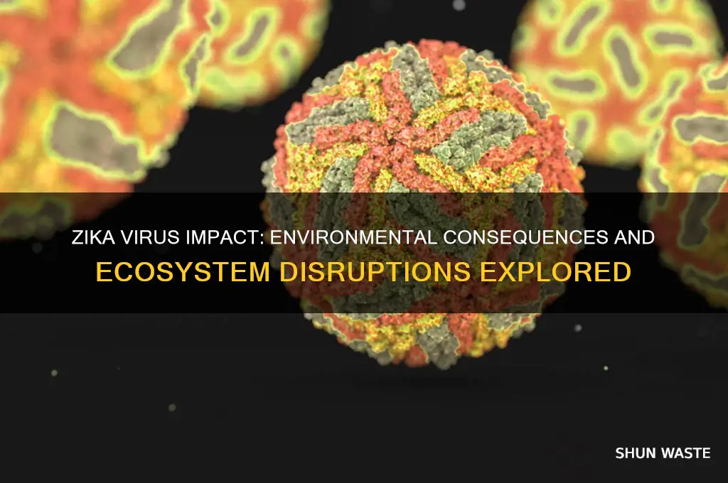 how does the zika virus affect the environment