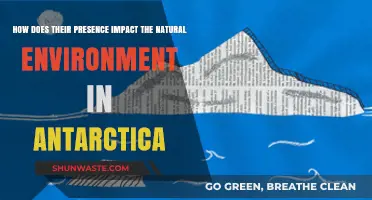 Human Presence in Antarctica: Environmental Impacts and Conservation Challenges