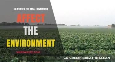 Thermal Inversion's Environmental Impact: Air Quality, Climate, and Ecosystems