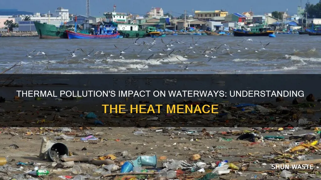 how does thermal pollution affect a waterway