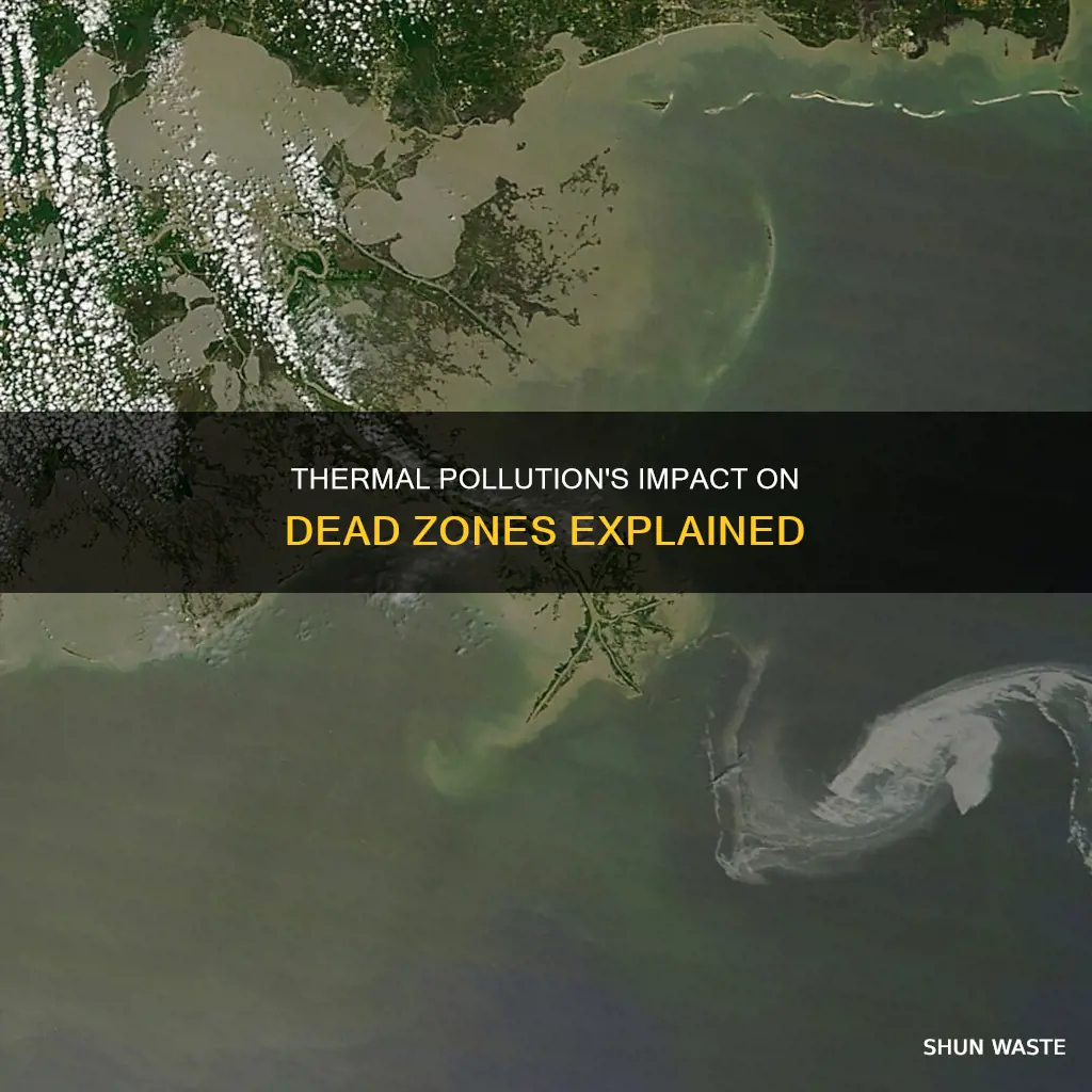 how does thermal pollution affect dead zones