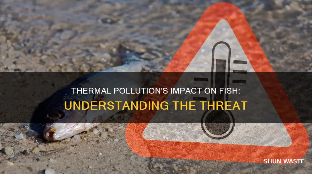 how does thermal pollution affect fish