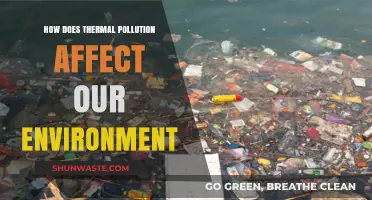Thermal Pollution's Impact: Unraveling Environmental Consequences and Solutions