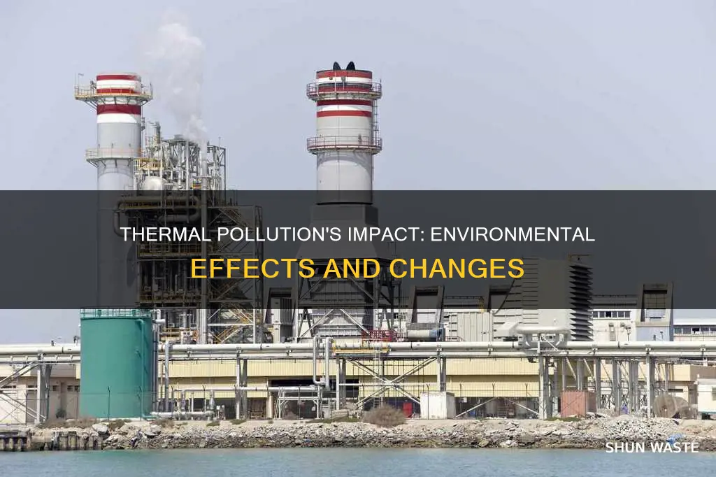 how does thermal pollution affect the environment